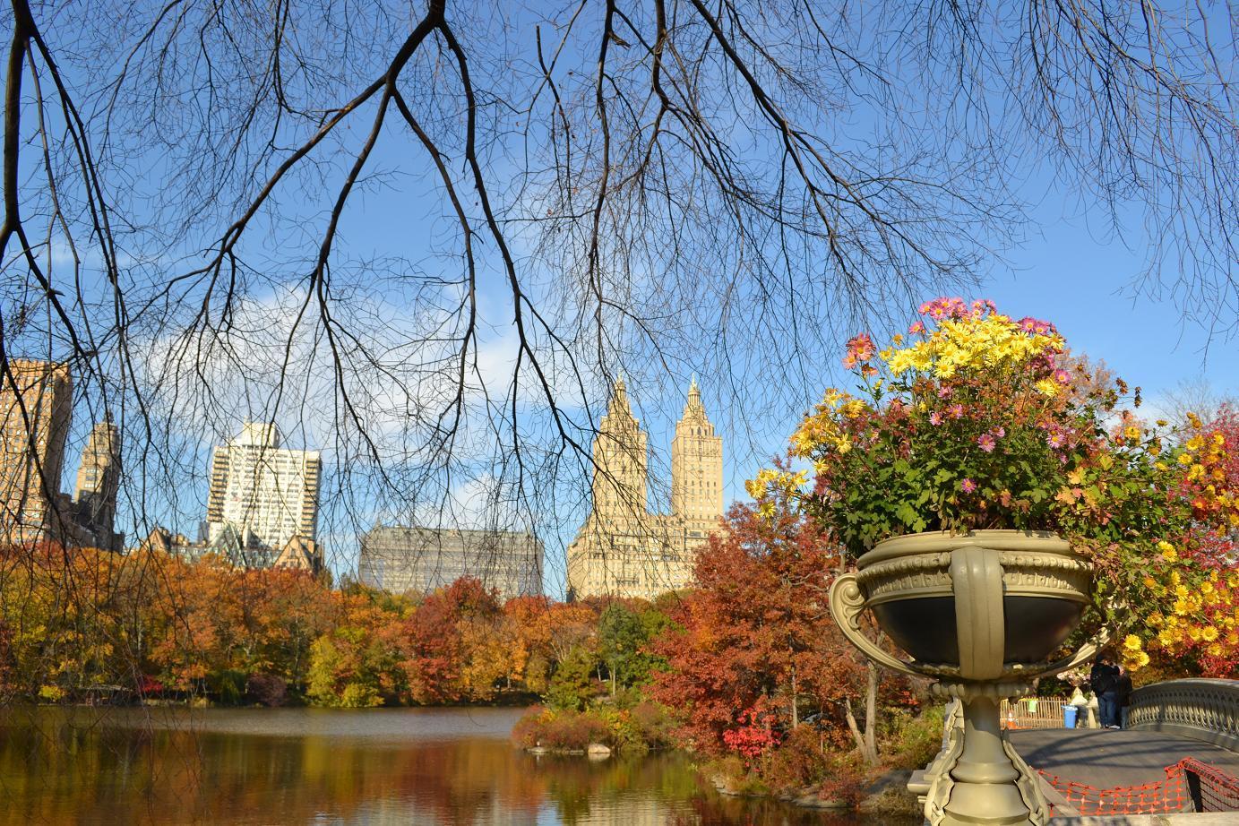Central park
